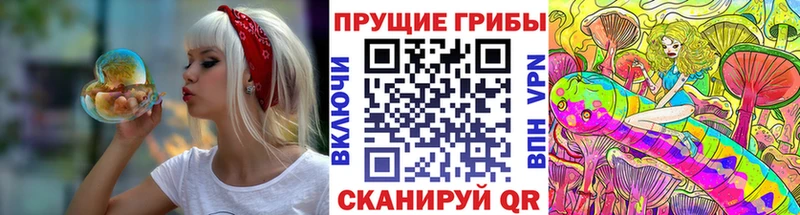 блэк спрут tor  Урень  Псилоцибиновые грибы Psilocybe 